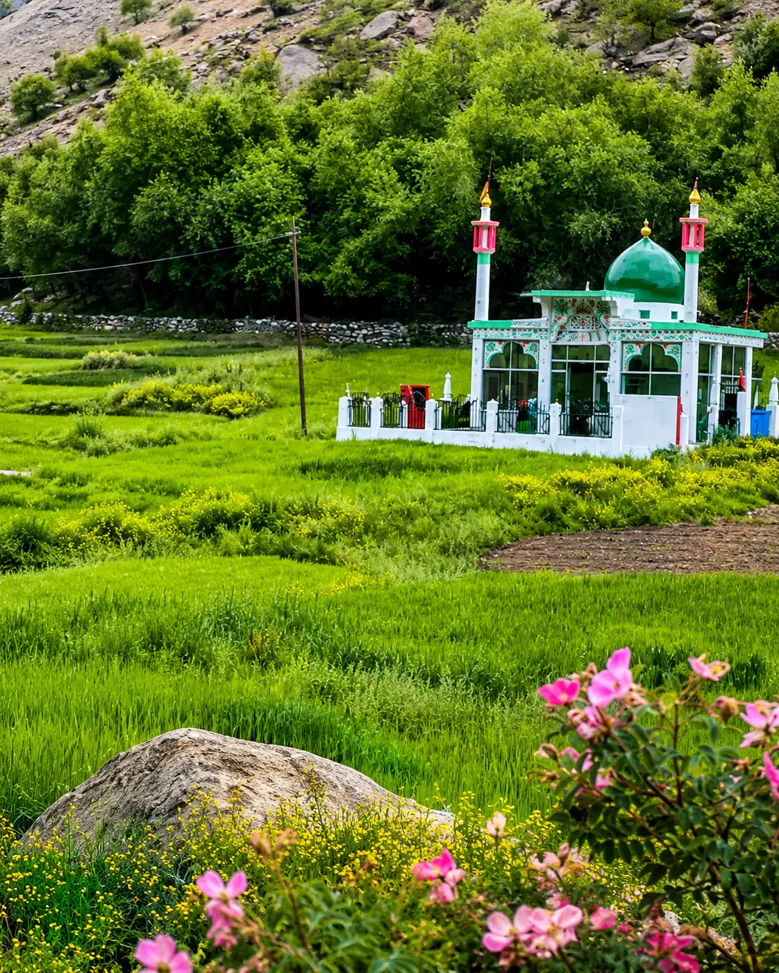 Karpokhar shrine of Sufi saint Mir Qasim Suru Valley Ladakh