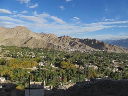 Golden poplar and willow trees in Leh valley during October autumn season seen from hilltop