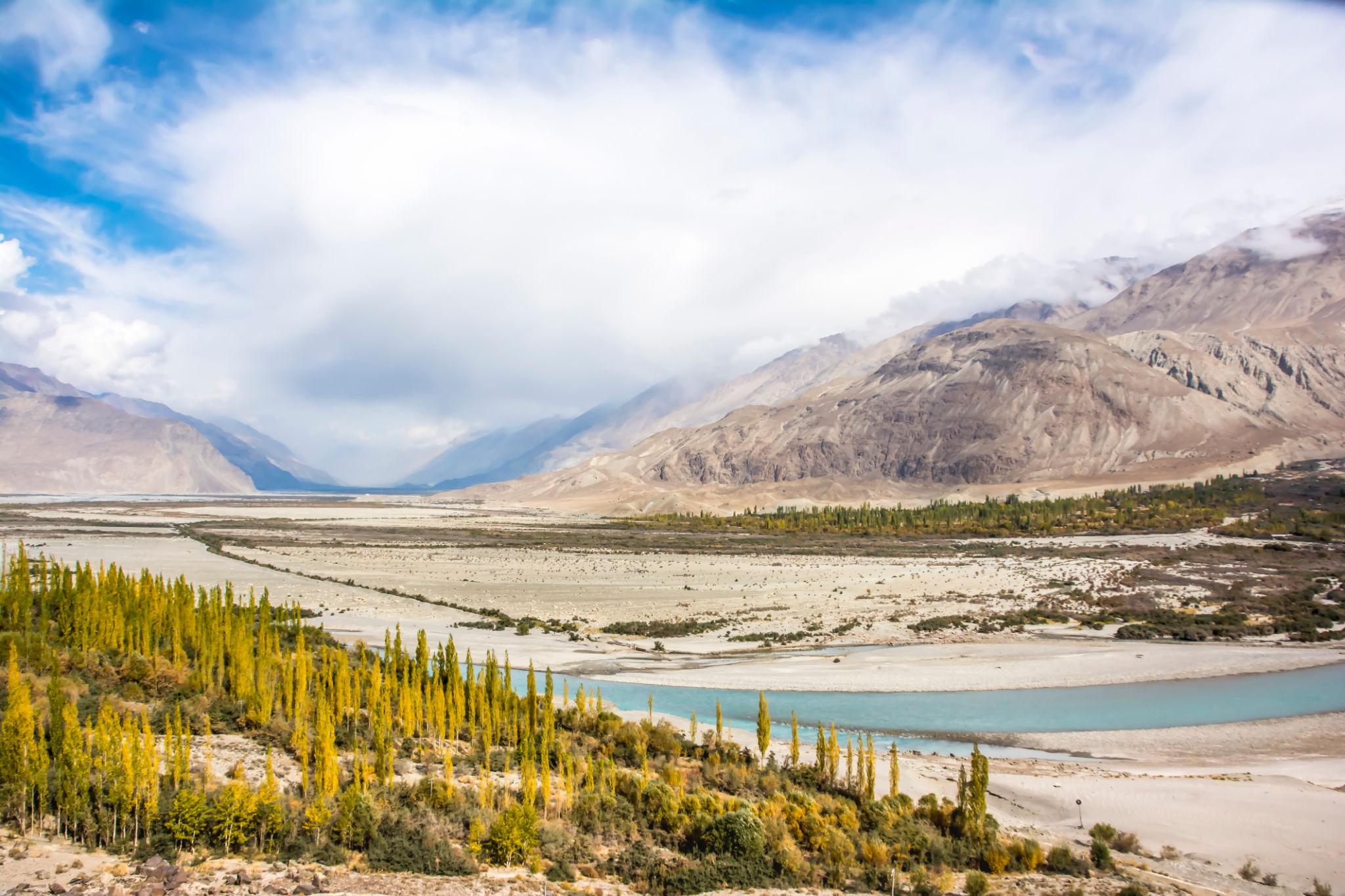 Indus and Nubra river valley in Ladakh with turquoise glacial waters and golden autumn poplars