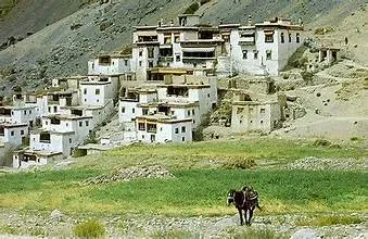 Tso Moriri lake side panoramic view Changthang Ladakh